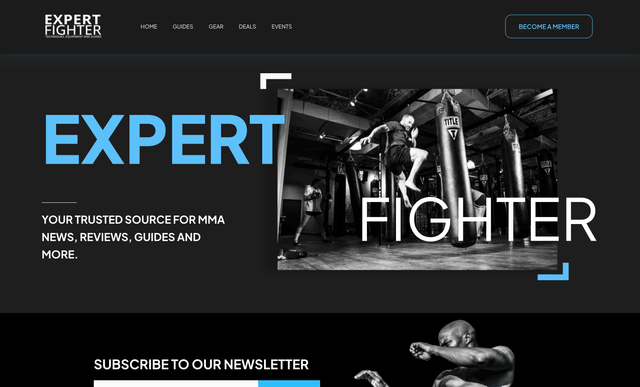 Expert Fighter